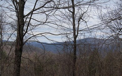 Additional View