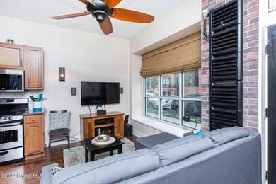 399 State St unit 105, Albany, NY 12210 - photo 3