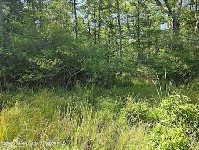 0 Stone Mountain Rd unit 20250692, Round Top, NY 12473 - photo 5