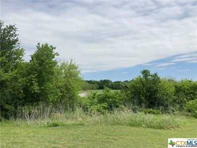 4448 Bottoms East Rd, Troy, TX 76579 - photo 4