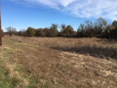 100 Buckner Rd, Lipan, TX 76462 - photo 5