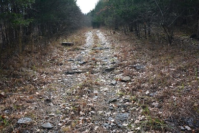 TBD Hickory Dr, Pounding Mill, VA 24637 - photo 6