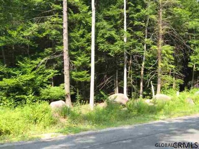 24 Lincoln Mountain Rd, Greenfield Center, NY 12833 - photo 4