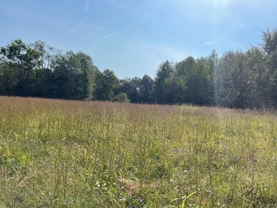 0000 Reynoldsburg Rd, Springville, TN 38256 - photo 5