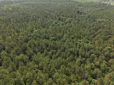 Ms-46, Mantee, MS 39751 - photo 2