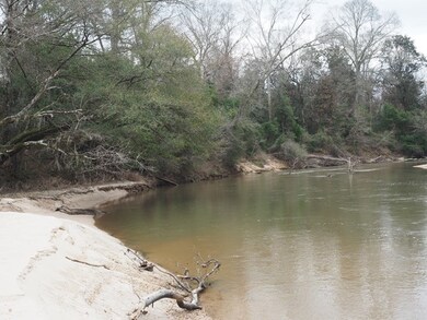 Bogue Chitto River fish, boat, swim!!!
