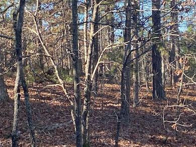 924 Quail Way, Elizabeth, AR 72531 - photo 2