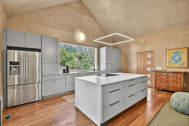 175 Big Creek Rd, Cherry Log, GA 30522 - photo 3