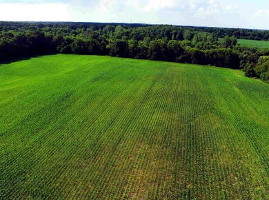 828 W 200 S, Albion, IN 46701 - photo 3