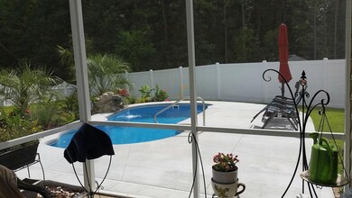Bald Cypress Pool 5