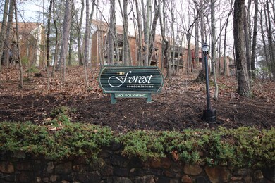 Forest Ridge - 1