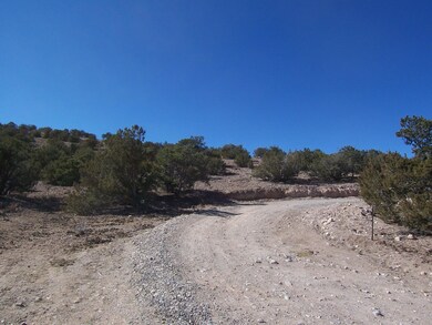 6 Caballo Palido, Placitas, NM 87043 - photo 6