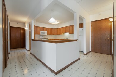 1325 Perry St unit 401, Des Plaines, IL 60016 - photo 7