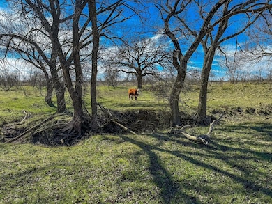 6560 Texas 199, Jacksboro, TX 76458 - photo 2