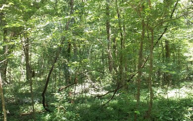 TBD Washington Ave Lot 8, Fort White, FL 32038 - photo 4