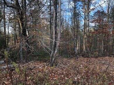 Back acres