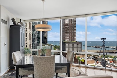 ParkView Condominiums unit 1602, Chicago, IL 60611 - photo 5