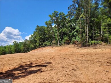 More of the 3 acres graded in wooded estate