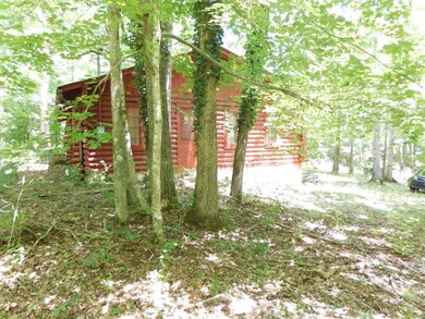 74 Lakeview Rd, Burnside, KY 42519 - photo 7