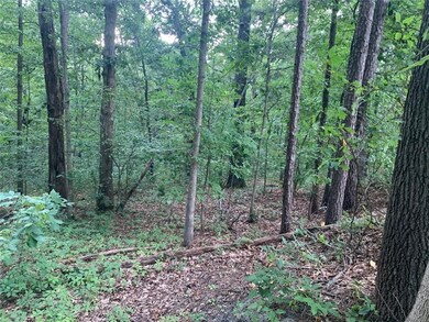 0 St Neots Ln unit 1194087, Bella Vista, AR 72714 - photo 4