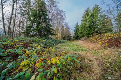 30710 38th Ave NW, Stanwood, WA 98292 - photo 3