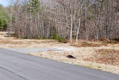 90 Grandview Rd, Conway, NH 03860 - photo 3