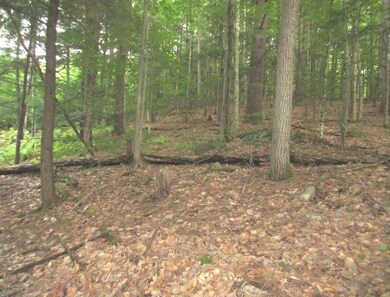 0 Route 114, Sutton, NH 03260 - photo 3