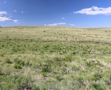 4970 Centennial Ranch, Westcliffe, CO 81252 - photo 7