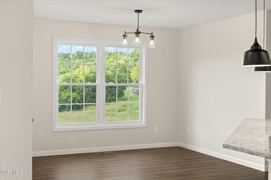 218 Old Siam Rd, Elizabethton, TN 37643 - photo 6