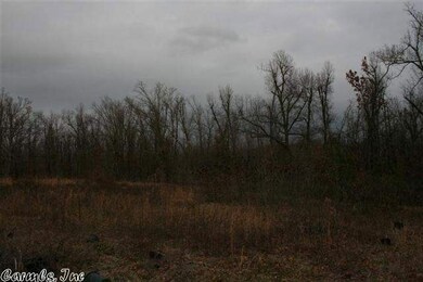 1193 Greene Road 731, Paragould, AR 72450 - photo 3