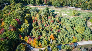 Lot 002 Emery Rd, Parsonsfield, ME 04047 - photo 3