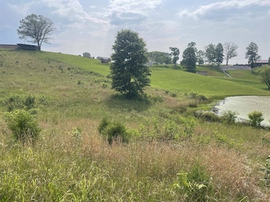 Tract 17A Billy Herold Johnson Subdivision, Albany, KY 42602 - photo 2