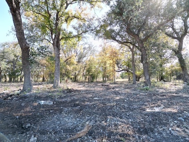 205 Serenity Dr, Liberty Hill, TX 78642 - photo 2