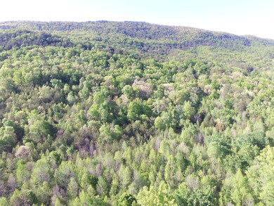 0 Highland Springs Rd unit 1115549, Blaine, TN 37709 - photo 3