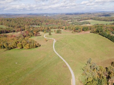 DJI_0779