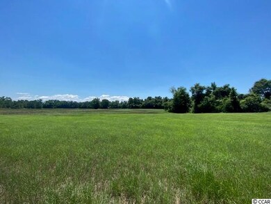 TBD William Nobles Rd unit Lot 3, Aynor, SC 29511 - photo 4