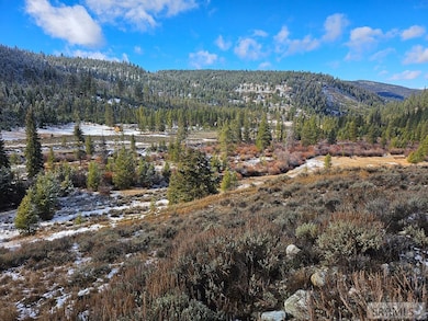 NKN Panther Creek Rd, Shoup, ID 83469 - photo 6