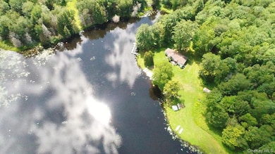 122 Jaketown Rd, Swan Lake, NY 12783 - photo 5