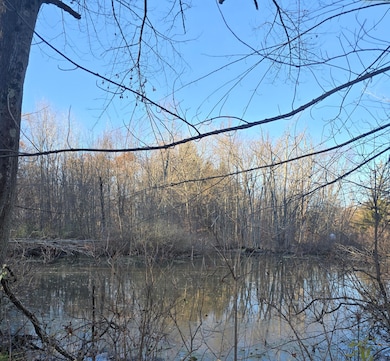 VL Marcellus Hwy, Marcellus, MI 49067 - photo 5