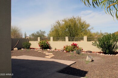 BACKYARD 4