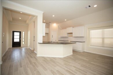 28639 Monarch Cliffs Dr, Fulshear, TX 77441 - photo 7