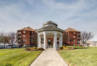 _MG_7259_60_61_62_63