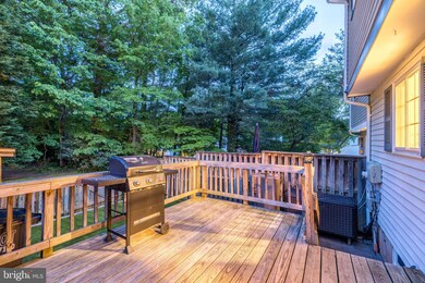 11523 Ivy Bush Ct, Reston, VA 20191 - photo 4