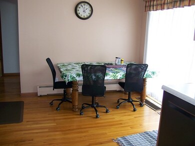 1009 Warren St, Chenoa, IL 61726 - photo 7