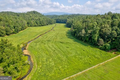 312 Charles Rd, Ellijay, GA 30540 - photo 5