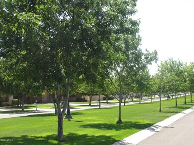 Tree-lined streets