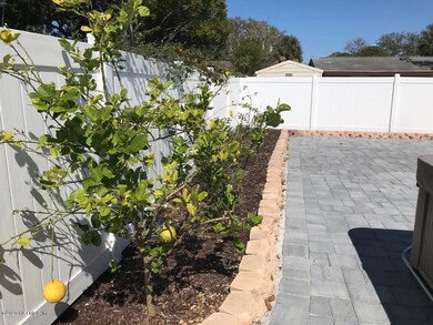 8143 Veracruz Dr, Jacksonville, FL 32211 - photo 5