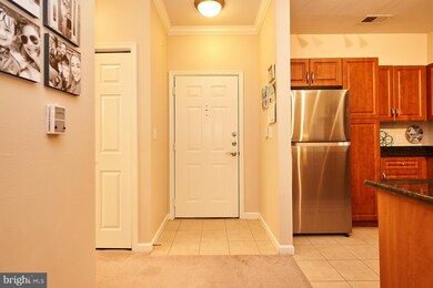 12909 Centre Park Cir unit 202, Oak Hill, VA 20171 - photo 4