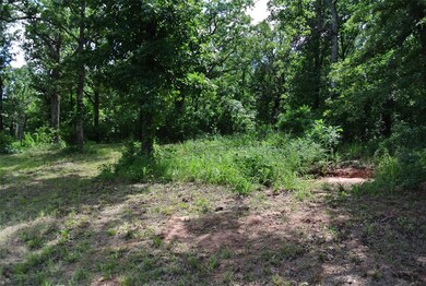 22356 Juanita Ln, Tecumseh, OK 74873 - photo 3