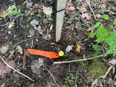 Parcel A Webb Rd, Burt Township, MI 49839 - photo 6